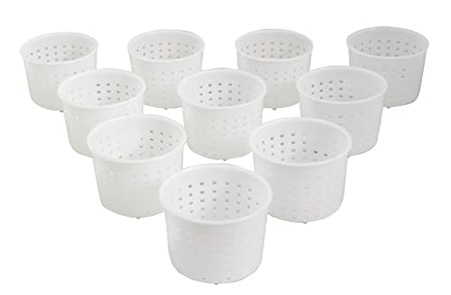 PetriStor 10pcs Small Cheese Mold for Cheese Making 1/3 qt - Soft Cheese Molds - Homemade Cheese Making Supplies - Cream Cheese Form Mold - Moldes Para Queso Fresco Casero - Feta Cheese Making