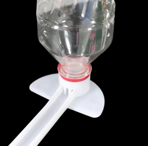 Beehive Front Entrance Feeder- Drink 6 Pack