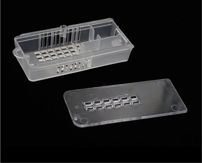 Queen Bee Cage 30Pcs Queen Bee Transport Cages Beekeeping Equipment Clear House Beehive White Transparent Cage for Beekeeping Supplies