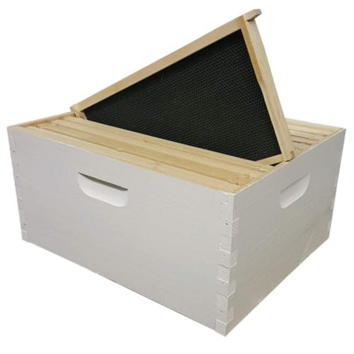 Busy Bees 'N' More Amish Made in USA Painted and Assembled Langstroth 10 Frame Deep/Brood Box w/Frames and Foundations