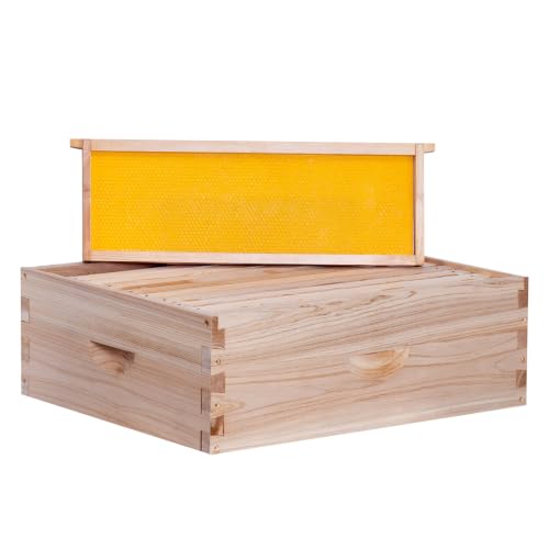 BeeCastle 10 Frame Medium Super Bee Hive Box, Langstroth Honey Bee Hive Include Beehive Frames and Waxed Foundations (Unassembled) - size: 10 Frame