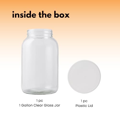 Fastrack 1 Gallon Glass Widemouth Jar, Clear (Pack of 2) - size: 2 Pack