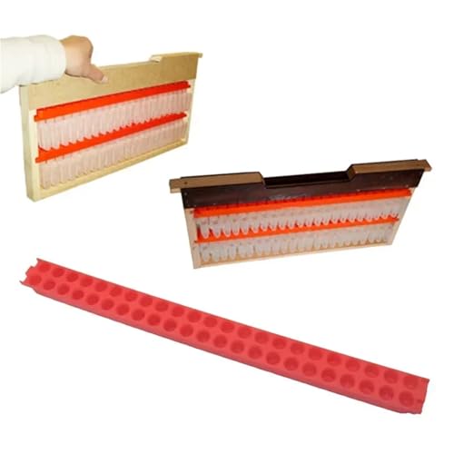 Queen Bee Cage Bee Queen Cage kit Transport Strip Red barwith 46 Queen Cages Prisoner King Cage Bee Cage Protection King Platform Anti Bite Control King for Beekeeping Supplies
