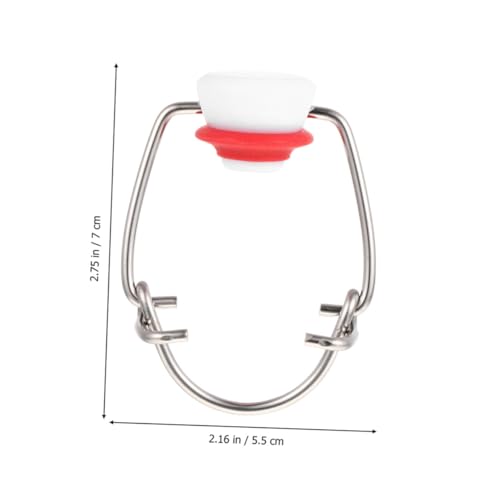 Healeved 2pcs Red Toggle Top Bottle Caps for Glass Beer Bottles Stainless Steel Flip Caps with Red Silicone Seal for Homebrewing and Craft Beer Bottling