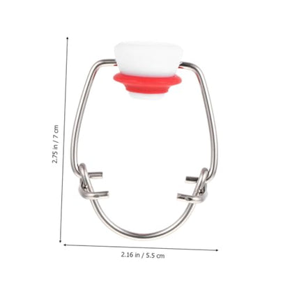 Healeved 2pcs Red Toggle Top Bottle Caps for Glass Beer Bottles Stainless Steel Flip Caps with Red Silicone Seal for Homebrewing and Craft Beer Bottling