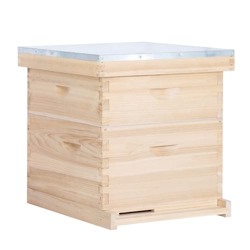 BeeCastle 10 Frame Langstroth Bee Hive, Beehive Starter Kit for Beginners with Beehive Frames and Waxed Foundation (1 Deep Box & 1 Medium Box)