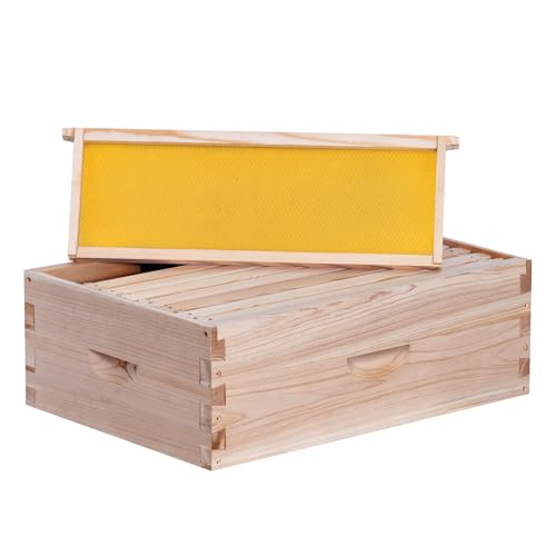 BeeCastle 8 Frame Medium Super Bee Hive Box, Langstroth Honey Bee Hive Include Beehive Frames and Waxed Foundations (Unassembled) - size: 8 Frame