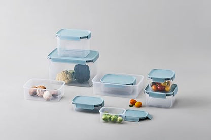 LocknLock Classic-Plus Plastic Food Storage Container | Airtight Plastic Food Storage Containers with Lids | BPA Free Stackable Food Storage for Meal Prep, Leakproof, Freezer & Dishwasher Safe, 2.75L - size: 2.75L