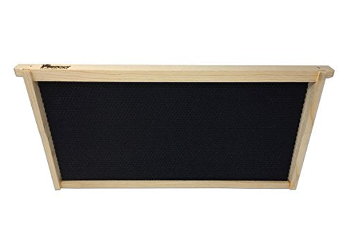 Pierco Inc. 10-Pack Assembled Commercial Frames with Waxed Black Pierco Foundation, 9-1/8-Inch