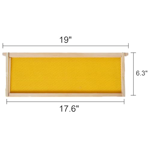 BeeCastle 10-Pack Beehive Bee Frames Waxed Foundation with Complete Unassembled Commercial Frames, 6-1/4-Inch (Yellow) | medium super beehive frames with foundations - size: 10-Pack