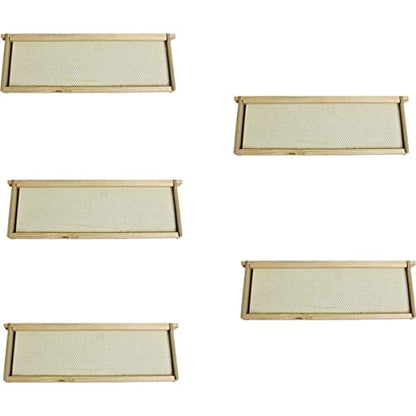 Harvest Lane Honey WWFFM-102-5 Assembled Medium Frames & Foundation, 5 Pack