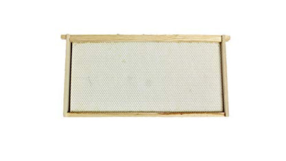 Harvest Lane Honey WWBCD-101 Deep Brood Box with Frames and Foundation