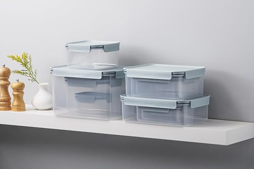 LocknLock Classic-Plus Plastic Food Storage Container | Airtight Plastic Food Storage Containers with Lids | BPA Free Stackable Food Storage for Meal Prep, Leakproof, Freezer & Dishwasher Safe, 2.75L - size: 2.75L