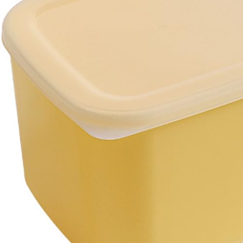 TOPINCN Plastic Cheese Storage Container with Airtight Lid, Food Storage Box for Fridge, Large Capacity Container for Vegetables Fruits and Cheese (L) - size: L