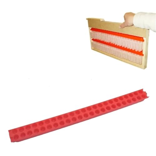 Queen Bee Cage 2pcs Queen Banking Cell Cage with Transport Box Kit Bee Moving Isolator Protection Case Shipping Bar Beekeeping Tools for Beekeeping Supplies(Bar) - color: Bar
