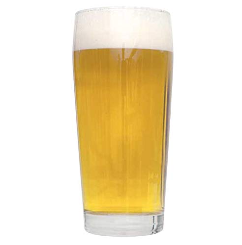 Northern Brewer - 2-Pack 1 Gallon Blonde Beers Are More Fun Beer Recipe Kits - color: Blonde Beers Are More Fun