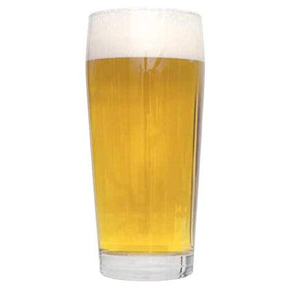 Northern Brewer - 2-Pack 1 Gallon Blonde Beers Are More Fun Beer Recipe Kits - color: Blonde Beers Are More Fun