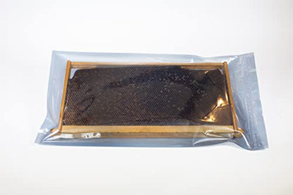 SunVara Bee Storage Beehive Frame Honeycomb Resealable Bag Reusable Beekeeping Equipment For Bee Hive Frame 10 Bags