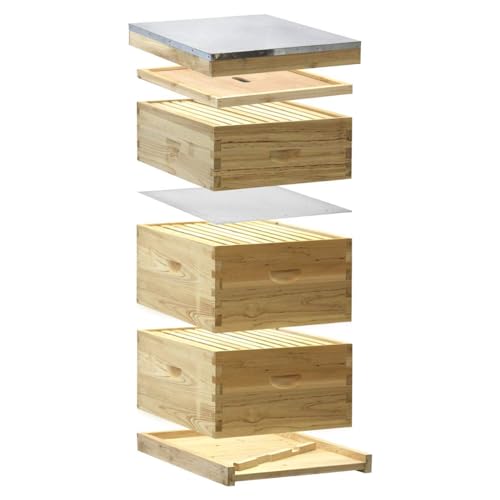 Starter 10 Frame Beehive Kit - Includes 2 Hive Bodies, 1 Super Box, Pine Frames, Wax Coated Foundations and More