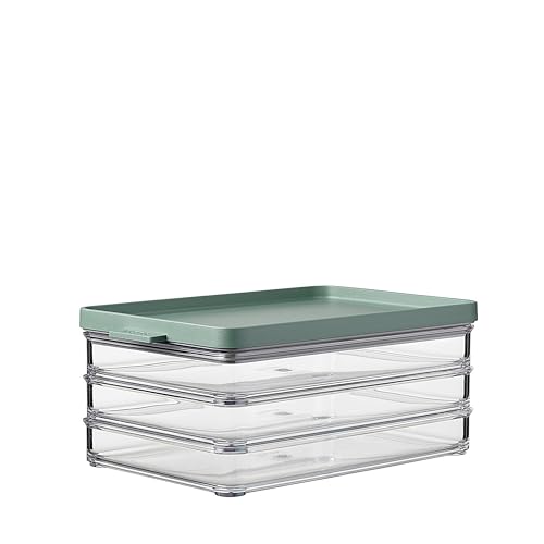 Mepal Meat Fridge Storage Containers 3 Layers - Container with Lid for Meat - Fridge Container for Kitchen Storage & Organization - Dishwasher-safe - 3 x 500 ml - Nordic sage - size: Fleischbehälter 3 lagen
