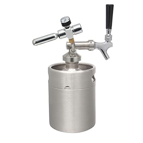 Mini Stainless Steel Beer Keg,Portable Home Dispenser System to Keep Fresh for Home Kitchen Brewing Beer,Keeps Carbonation for Craft Beer Draft and Homebrew,2L - size: 2L