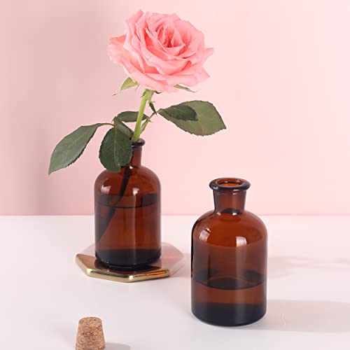 Magic Season Decorative Round Glass Bottles with Cork Stoppers (2 Pcs/Amber / 4 fl oz.)