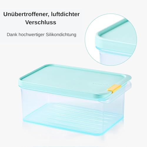 LocknLock Freezer Fit Plastic Freezer Containers | Airtight Stackable Food Storage for Meal Prep | Microwave & Dishwasher Safe | BPA Free Freezer Container with Lid, 750ml - size: 750ml