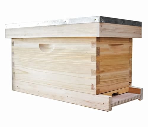 Generic 4 Frame Nuc Complete Kit - Langstroth Style, Brown Wooden Bee Hive