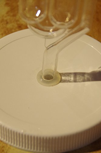 10 Grommets Food Grade Silicone for Fermentation