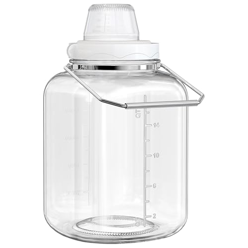 Daitouge 5 Gallon Glass Jar with Airtight Lid, Square Wide Mouth Storage Jar with Stainless Steel Handle, Glass Jug with Cup for Terrarium, Storage, Dog Treats, Mead Making