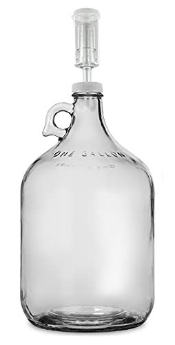 FastRack Glass Wine Fermenter Includes Airlock, 1 gallon Capacity, clear (B00BEYREIW), 1 Count (Pack of 1) and Twin Bubble Airlock and Carboy Bung (Pack of 2)