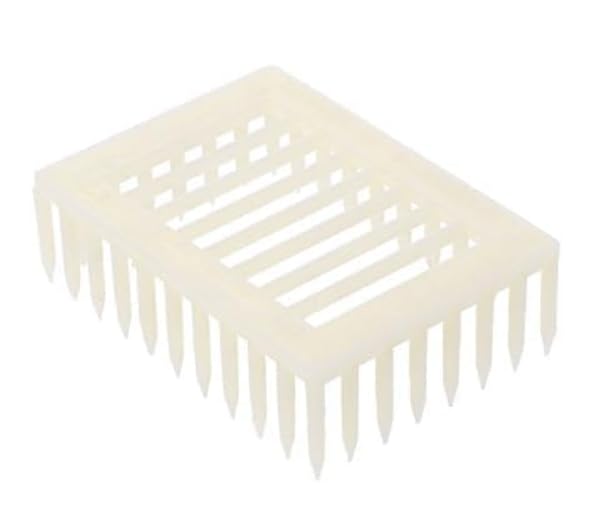 White Queen Marker Cage Clip Bee Plastic Catcher Beekeeper Beekeeping Tools Equipment Plastic Queen Marker Cage Clip Bee Catcher Beekeeper Beekeeping Tools Equipment Beekeeping Supplies