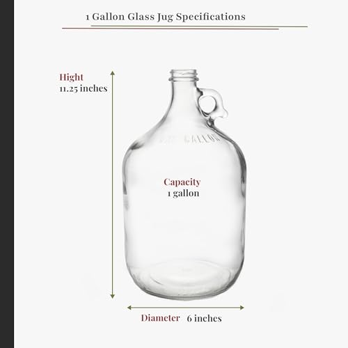North Mountain Supply 1 Gallon Glass Fermenting Jug with Handle, #6.5 Rubber Stopper, 6-Bubble Airlock, Black Plastic Lid, 3-Pack Yeast Assortment, & 3.5 Ounce Yeast Nutrients