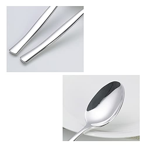 12 Pieces Stainless Steel Dinner Spoons