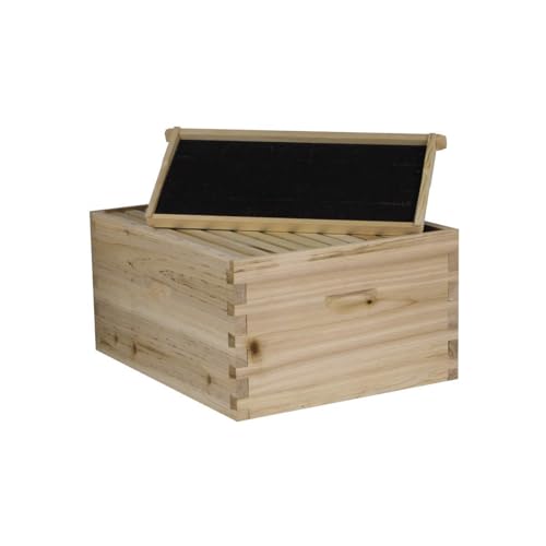 NuBee Starter 10 Frame Beehive Kit - Includes 1 Hive Body, 1 Super Box, Pine Frames, Wax Coated Foundations and More
