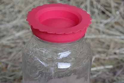 Masun Silicone mason jar lids Made to fit both Wide and Regular Mouth mason jar. (Red, Blue 8 Pack) - color: Red, Blue 8 Pack