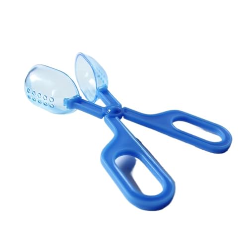 2Pcs Beekeeper Plastic Queen Cage Clip Bee Catcher Beekeeping Tool Isolation Room(Green) - color: Green