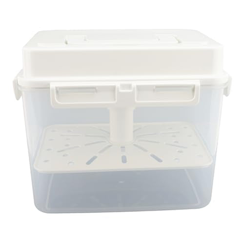 Asixxsix 4L Sauerkraut Container, Leakproof Airtight Pickle Kimchi Container with Press Plate and Handle, Pickle Kimchi Press Ferment Storage