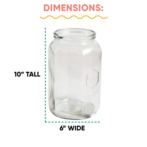Craft A Brew - Kombucha Jar - for Kombucha Fermenting and Home Brewing - Includes Custom Cloth Cover - One Gallon Glass Jar - Proprietary Design - size: Without Spout