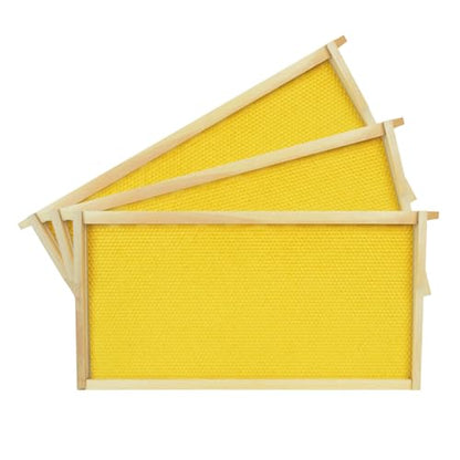 Deep Brood Beehive Frames with Wax Foundation 10pack Beehive Frames Beeswax Dipped Plastic Foundations for Beekeeping 9-1/8-Inch - size: 10 Pack Deep Brood Beehive Frames