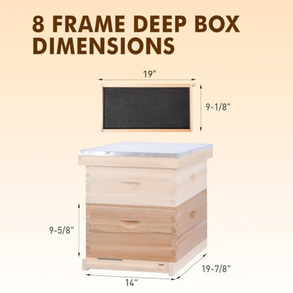 8 Frame Bee Hive, Compelte Bee Hive Starter Kit Includes 1 Deep Brood Honey Bee Hives Box, 1 Medium Super Bee Box with Beehive Frames and Foundation Sheets