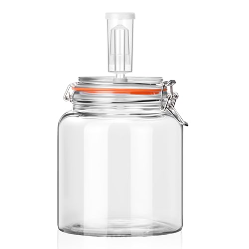 0.6 Gallon Fermentation Jar with Airlock Lid, Complete Fermenting Kit for Kimchi, Sauerkraut, Pickles, Kombucha & Homemade Fermented Food - size: 0.6 Gallon