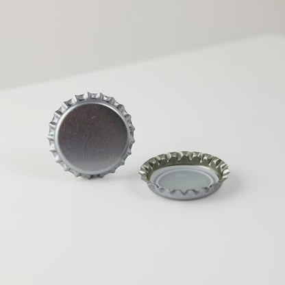 FastRack 288 Oxygen Absorbing Beer Bottle Caps | 26mm Pry-Off Silver Standard Homebrew Bottle Tops for Glass Bottles | PVC-Free Beer Crown Caps for Bottling - color: Silver