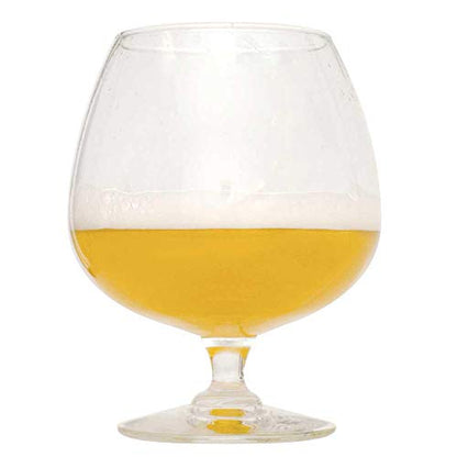 Northern Brewer - 2-Pack 1 Gallon Belgian Beers Beer Recipe Kits - color: Belgian