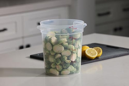 Cambro 4 Quart (QT) Food Storage Container (No Lid) - Restaurant Food Grade Bucket - for Dough Proofing and Brining (Translucent)