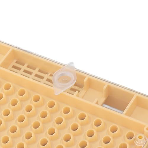 JTLB Queen Bee Rearing System Plastic Breeding Cell Cup Kit Beekeeping Grafting Equipments Supplies