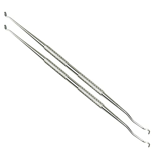 2 Pieces Beekeeping Grafting Tool Double Head Beekeeping Grafting Needle Beekeeping Moving Needle Tool Stainless Steel Queen Moving Needle Queen Bee Grafting Tool, Silver