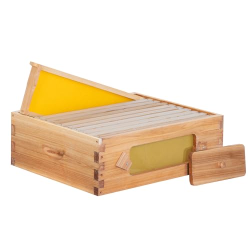 Honey Lake 10 Frame Beehive Medium Super Box with Window, Langstroth Bee Hive Box Kit Dipped in Beeswax Include Wooden Frames & Waxed Foundations, Bee Boxes for Beekeeping Supplement (Unassembled) - size: 10-Frame