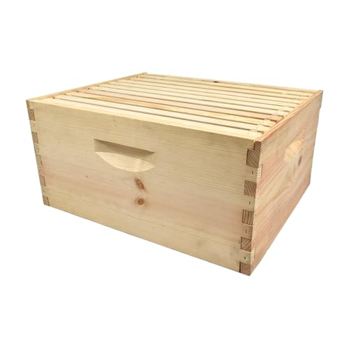 Goodland Bee Supply GL-1B-SPCR Beekeeping Beehive Brood Kit Includes Frames, Foundations, Brood Box and Spacer