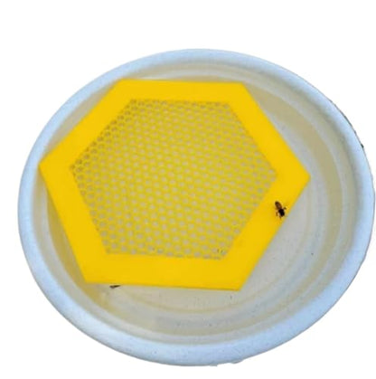4pcs Anti-Drowning Bee Waterer Hexagonal Acrylic Tray with Lure Cups for Beehive Hydration | Yellow - color: Yellow
